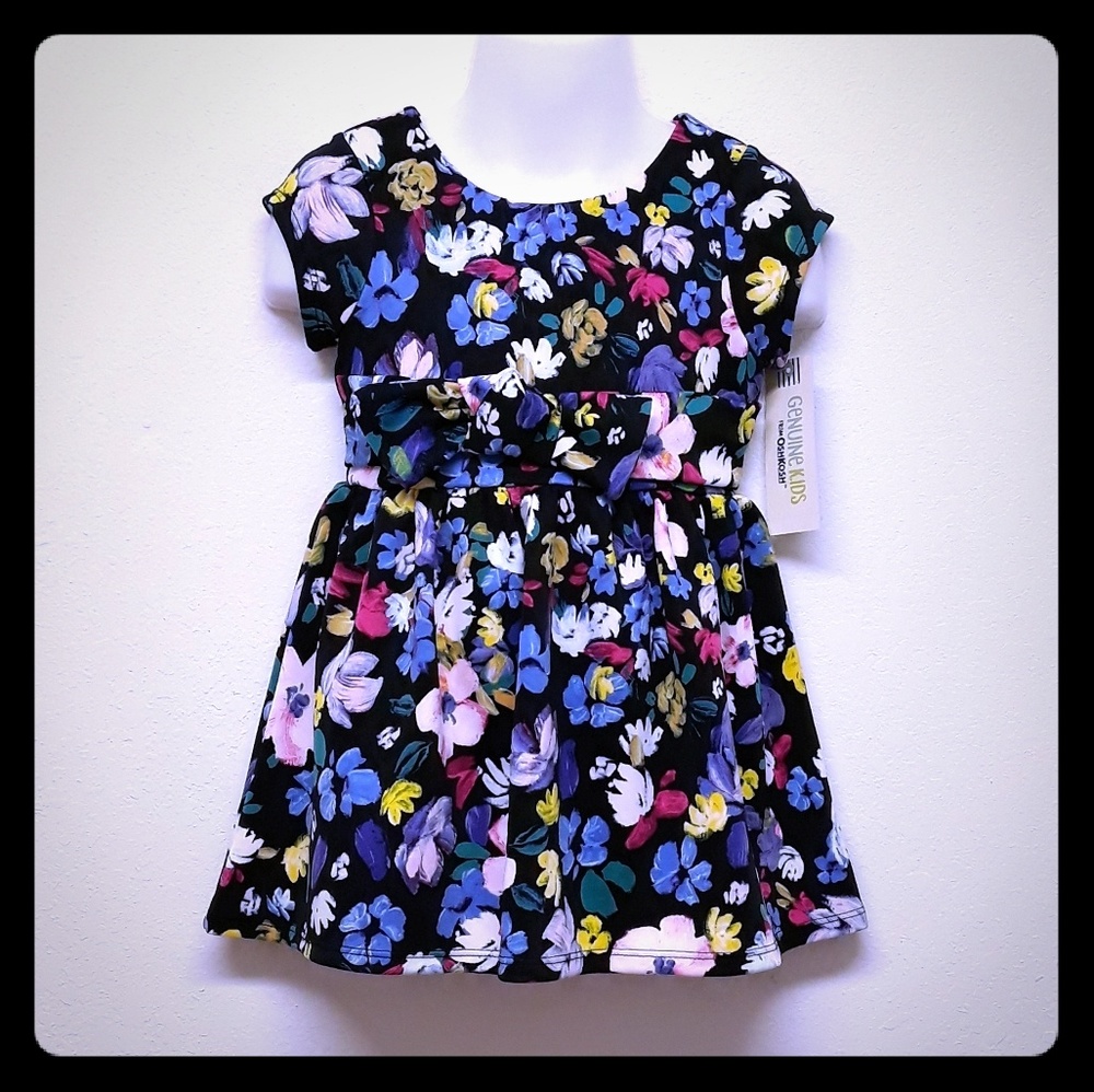 Beautiful Flower Print Toddler Girl Dress